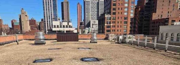 Construction Begins on Rooftop Playground at UES Public School Construction Begins on Rooftop Playground at UES Public School
