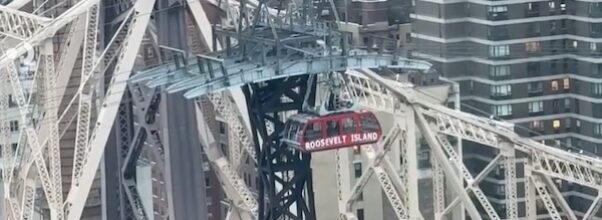 Daredevil Climbs Roosevelt Island Tram Tower, Apprehended by NYPD in Dramatic Rescue