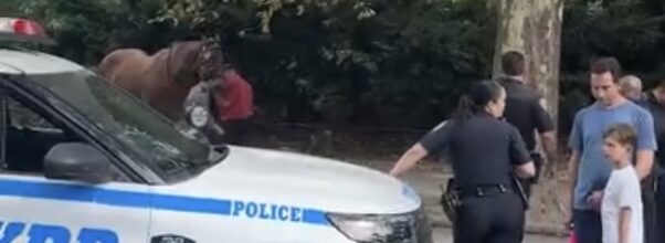 Passengers Jump from Moving Horse Carriage in Central Park Scare