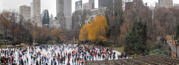 Parks Passes on Trump Organization Bid to Run Wollman Rink