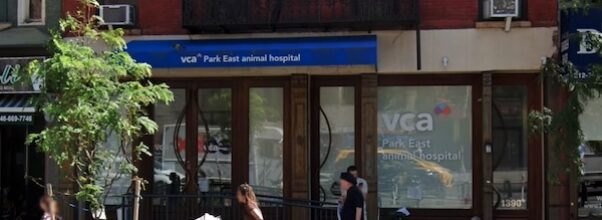 Upper East Side Vet to the Stars, Lewis Berman, Dies at 90