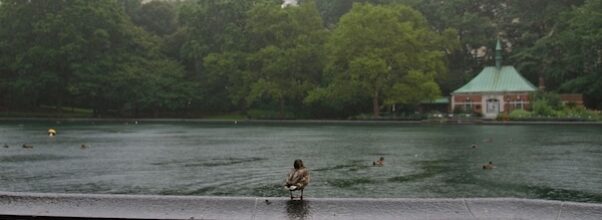 NYC Faces Flood Watch and Up to 5 Inches of Rain as Storms Roll In Tuesday